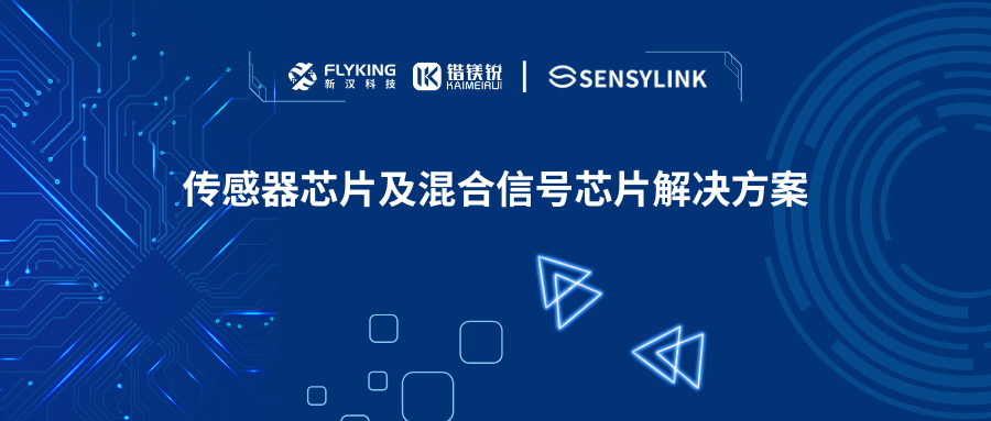 芯版圖 | 攜手申矽凌，高性能傳感器芯片及混合信號芯片已就位